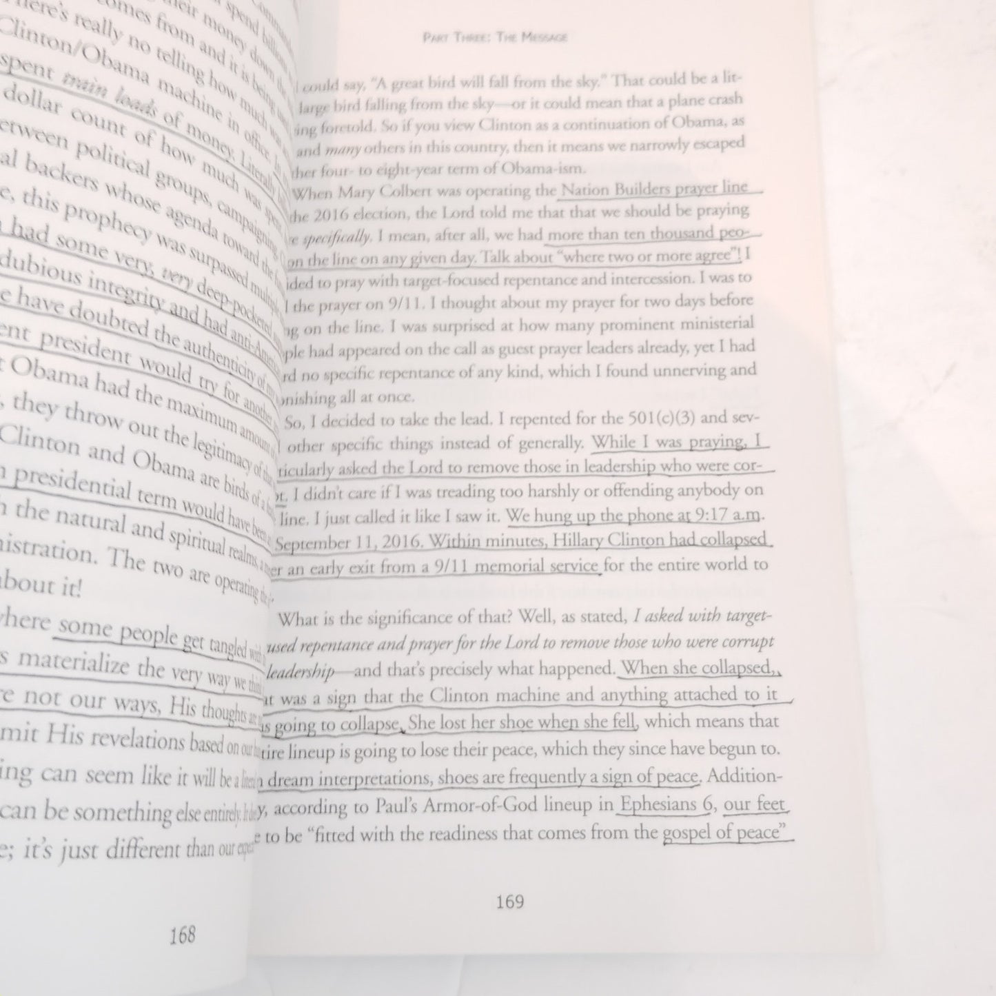 The Trump Prophecies 2017 Paperback Excellent Cond Underlined Passages LN Faith