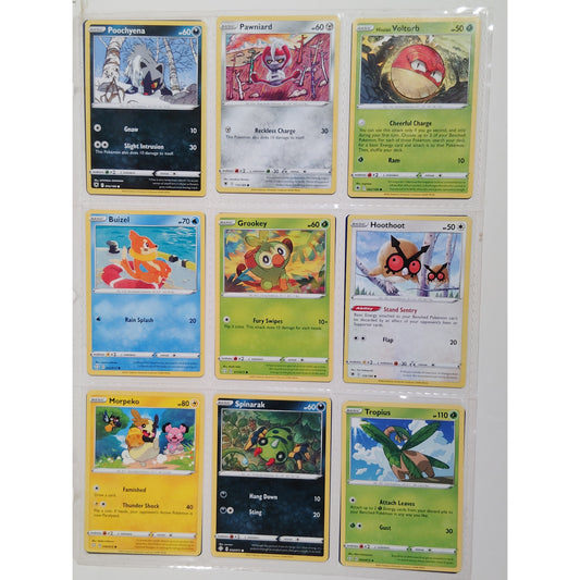 18 Random Pokémon Cards Pictured, Actual Photos Provided