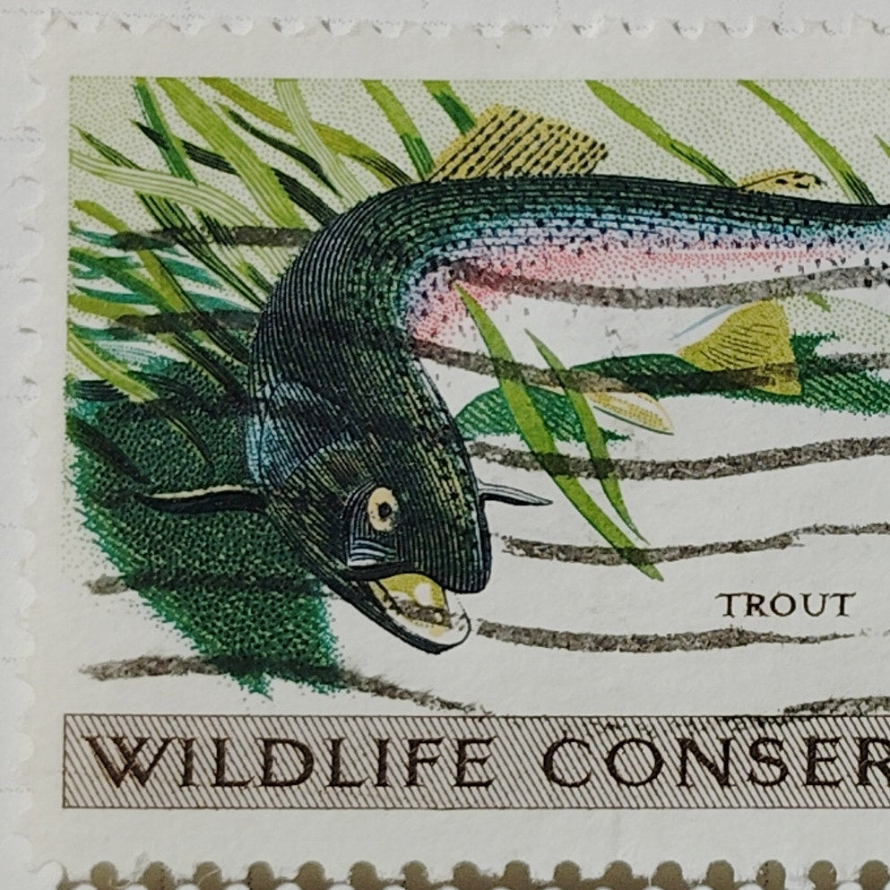 1971 US Postage Stamp #1427 Wildlife Conservation Trout 8c Used Canceled VTG