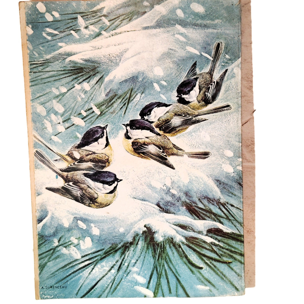 Reader's Digest February 1970 Magazine Winter Chickadees, Tragic Fall of Tibet