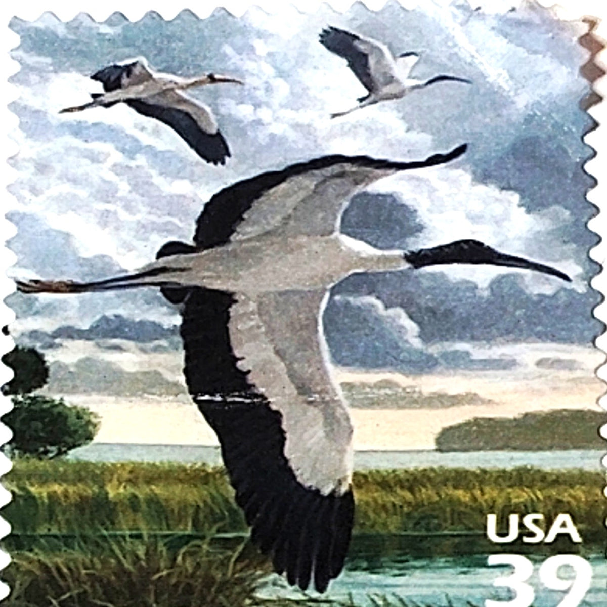 2006 39c Whooping Cranes USA Postage Stamp - Green & Blue Wildlife Art