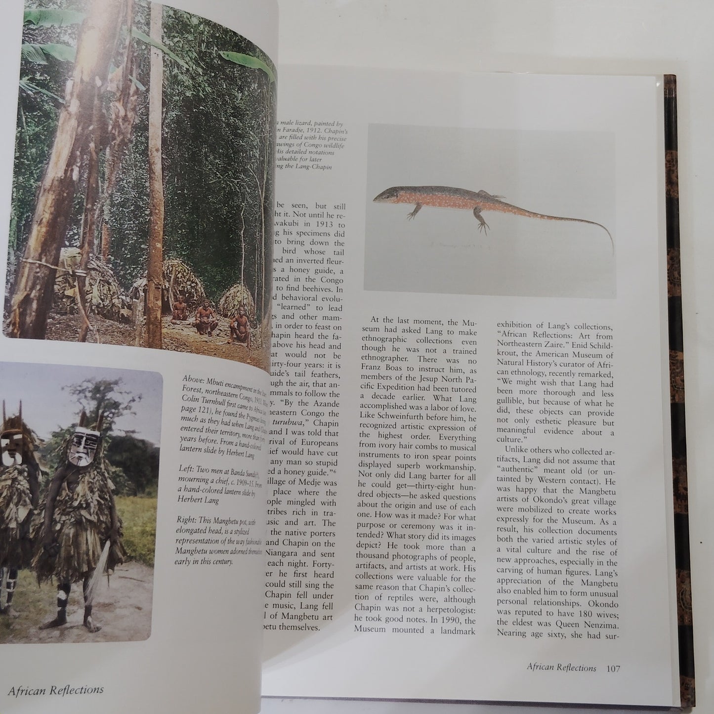 American Museum of Natural History 125 Years Expedition Discovery 1995 Hardcover