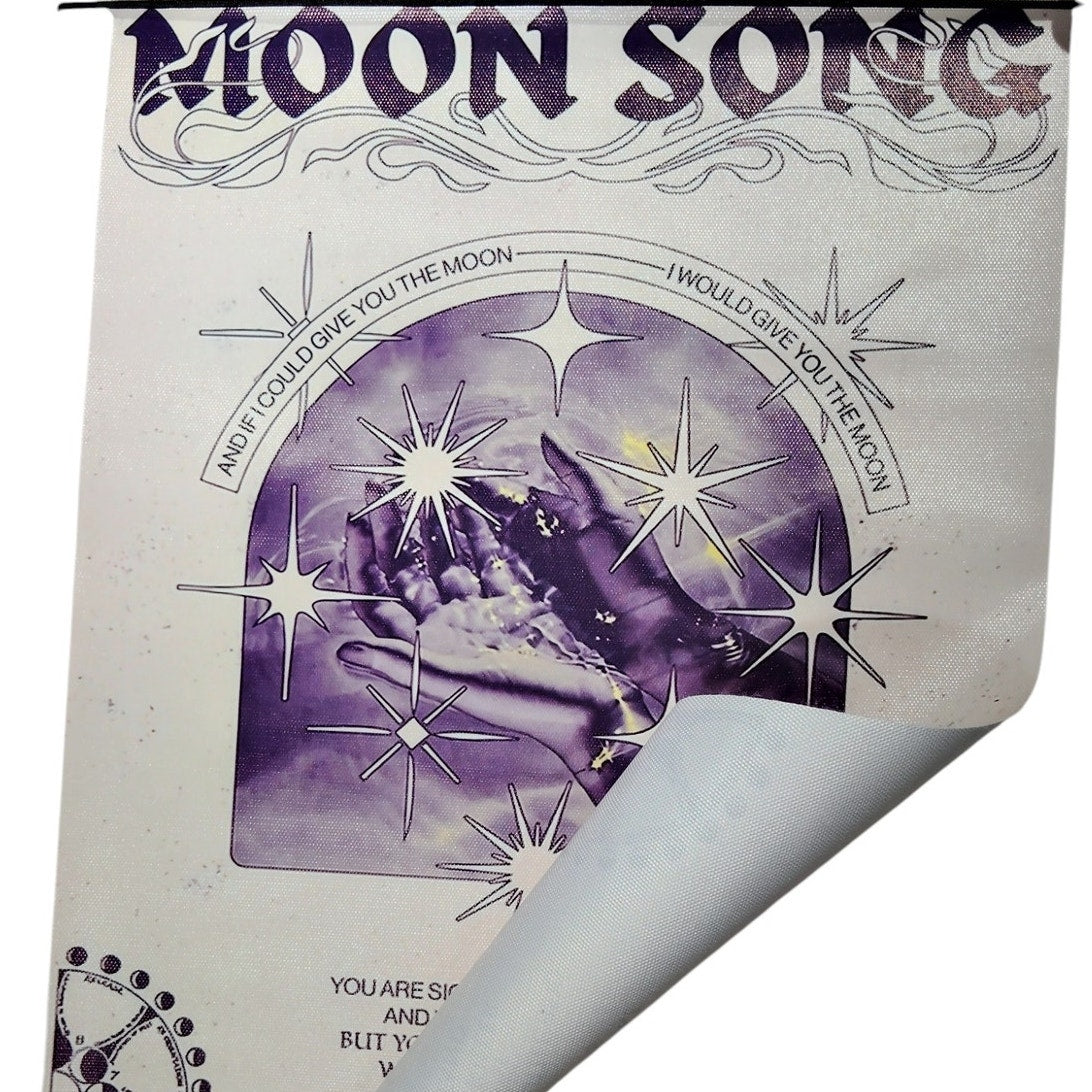 Phoebe Bridgers "Moon Song" Canvas Wall Art, Indie Music Poster Print, Album Lyrics, 12x16" Unframed