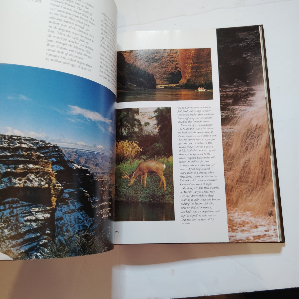 Our Continent Natural History of North America 1976 Hardcover - LN - One Owner