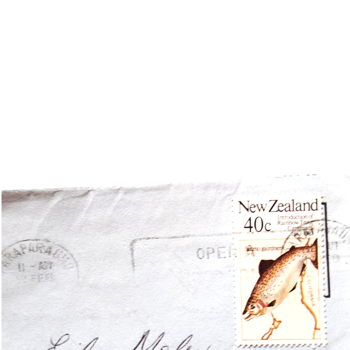 1983 New Zealand Aerogramme Cover 40c Trout Stamp Papakura Airmail Letter