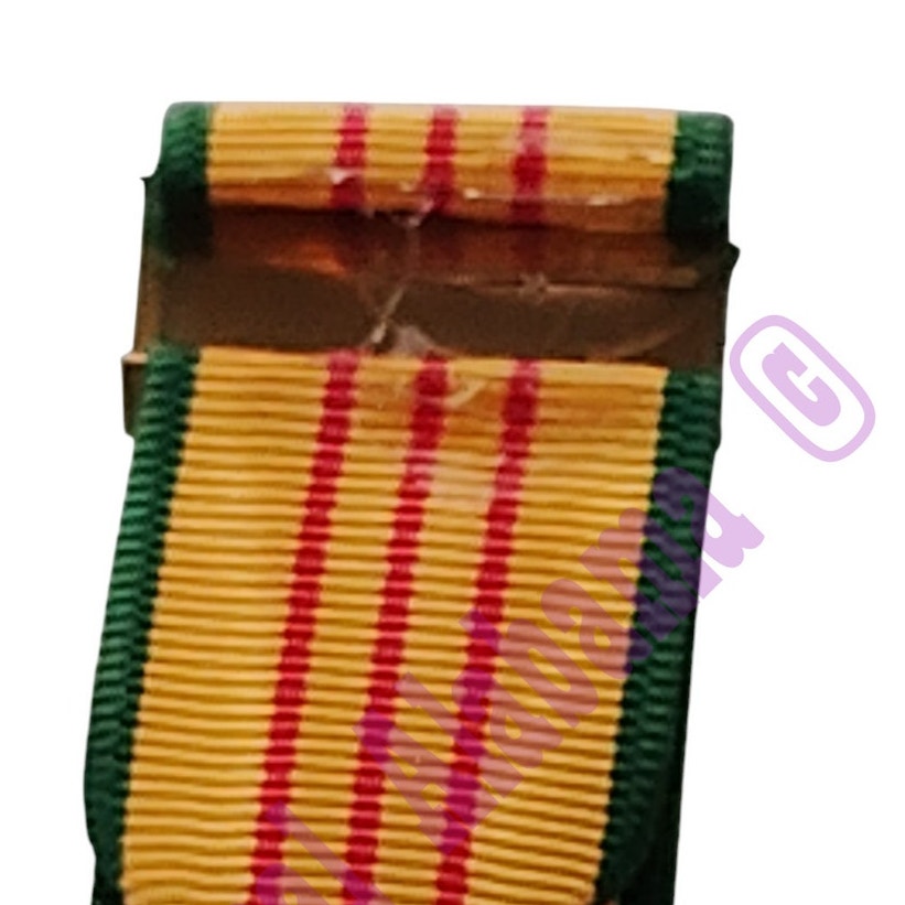 Vietnam Service Mini Medal (3/4"D) Ribbon (3/4"W) Overall 2-1/4"H