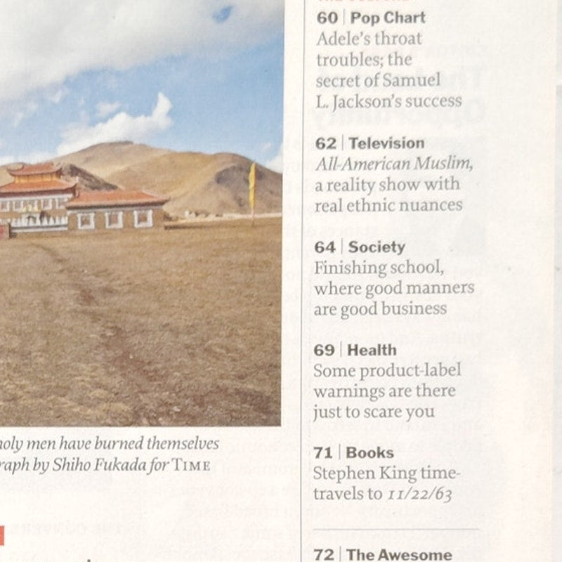 TIME Magazine November 14 2011 Can You Still Move Up in America?, Stephen King