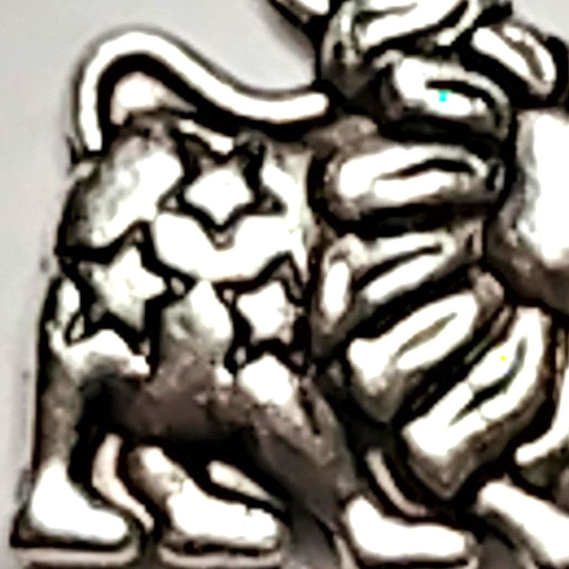 Zodiac Charm Leo July 23 – August 22 Patinated Silver 1/2" Lion Pendant Jewelry