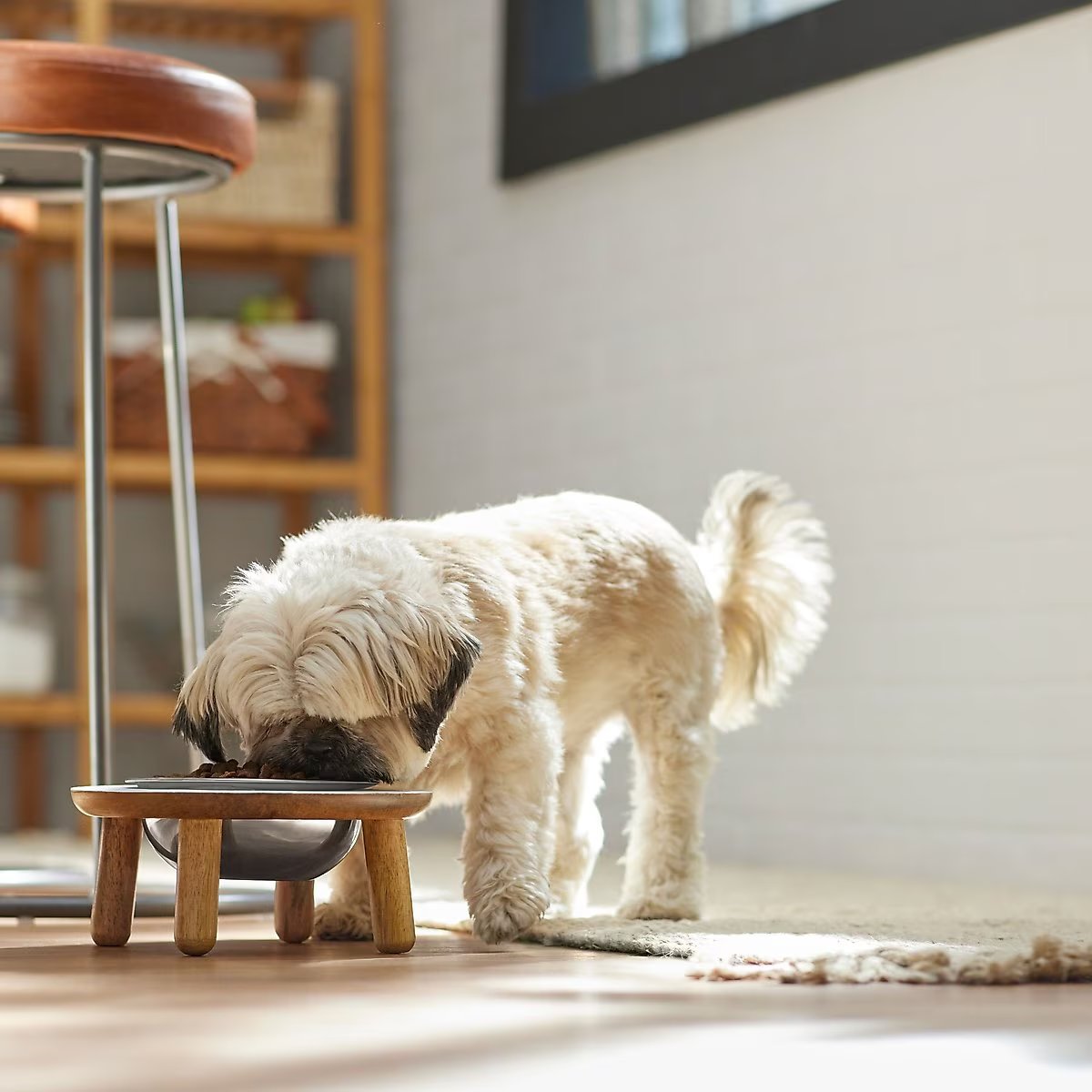 Frisco Premium Elevated Pet Bowl – White | 4-Cup Cap. | Raised Dog & Cat Feeder