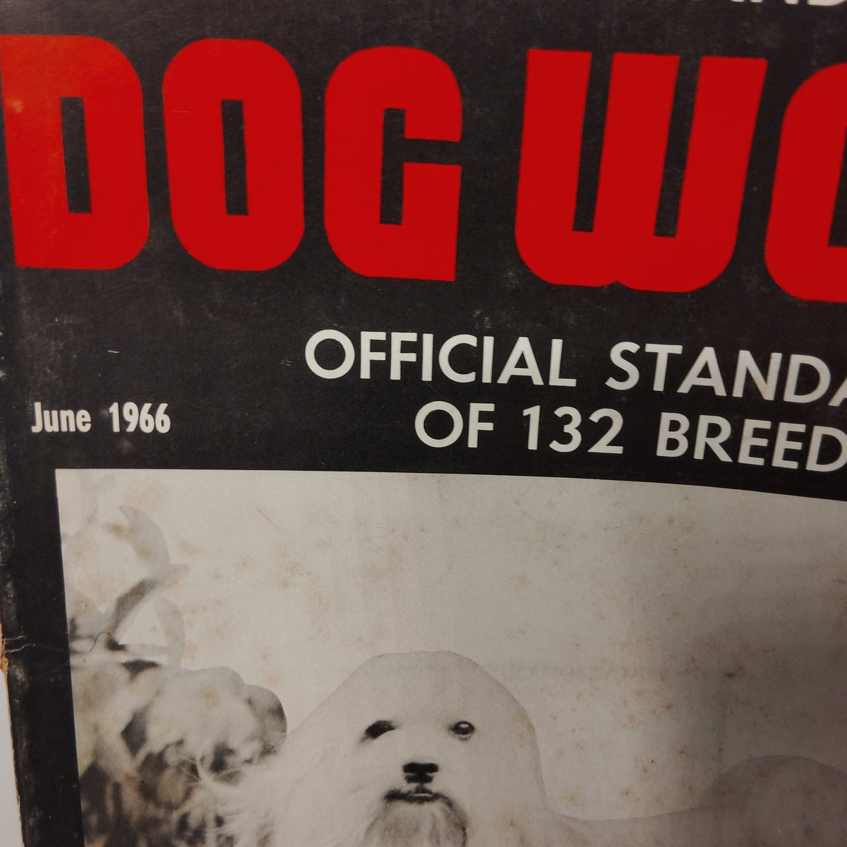Dog World Magazine June 1966 Special Standards Issue 132 Breeds Lhasa Apso