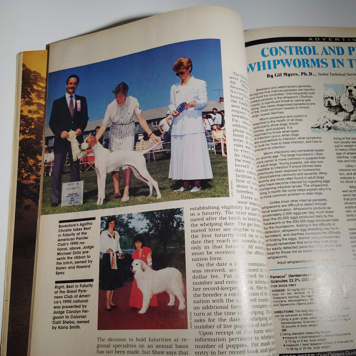 AKC Gazette Nov 1990 Pure-Bred Dogs Magazine - Fawn Pug Cover Vintage