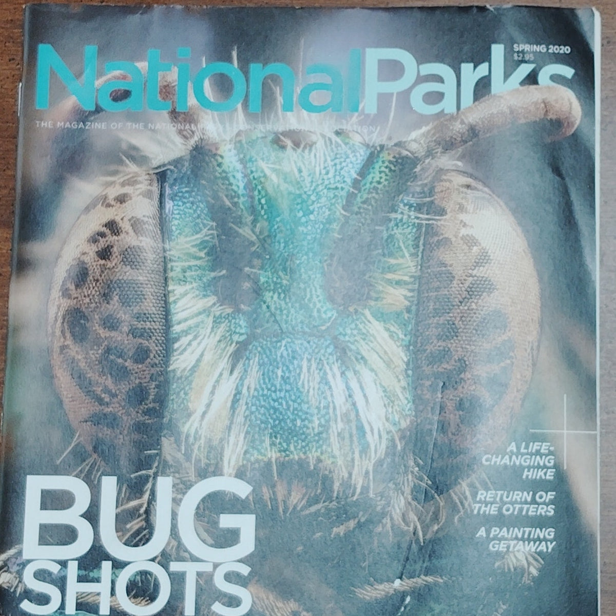 National Parks Magazine - Spring 2020 "Bug Shots" Conservation Assoc.