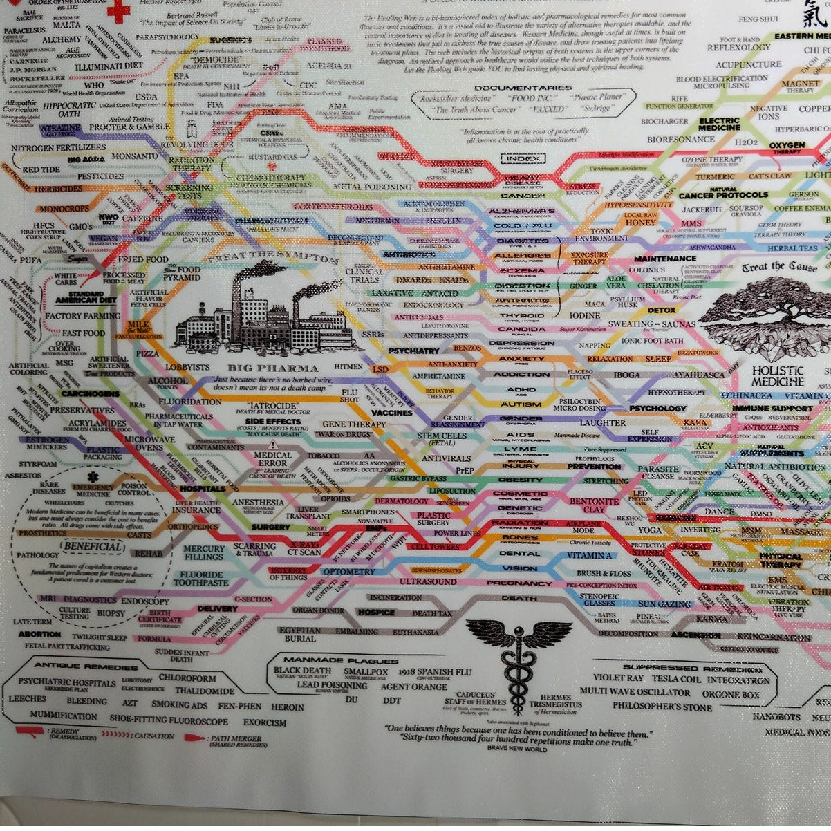 Big Pharma vs. Holistic Medicine Canvas Print – Conspiracy Infographic Wall Art (18x12")