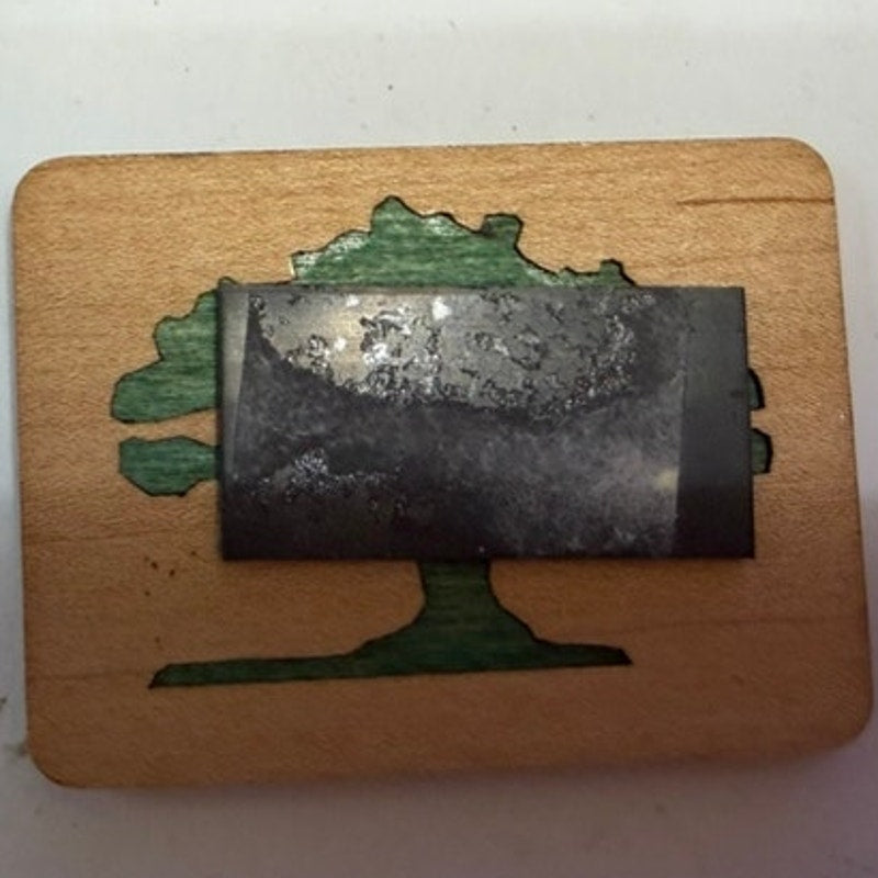 Frampton Plantation SC Magnet Wooden Laser Cut Live Oak Tree 2‑3/8" × 1‑7/8"