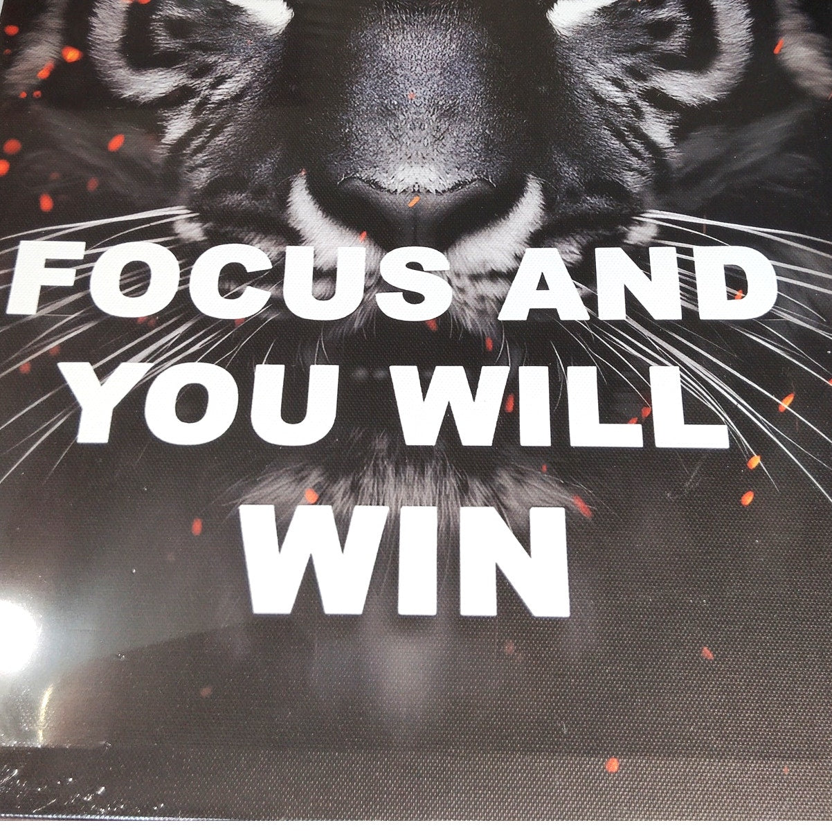 Focus and You Will Win Tiger Wall Art Motivational Gym Office Decor 15.6x11.8"