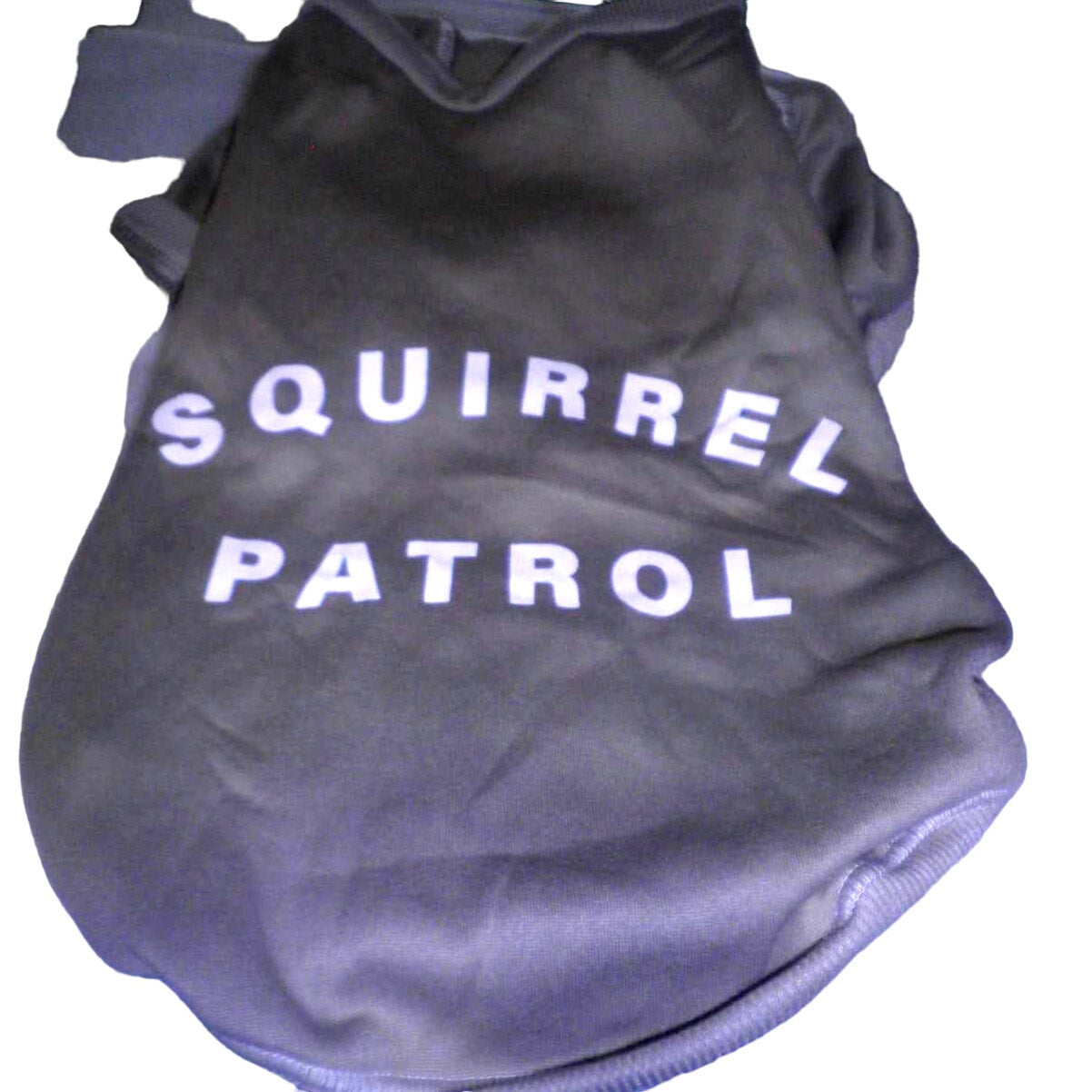 Lightweight Fleece Pet Sweatshirt - Squirrel Patrol, Gray - MD - Boots & Barkley