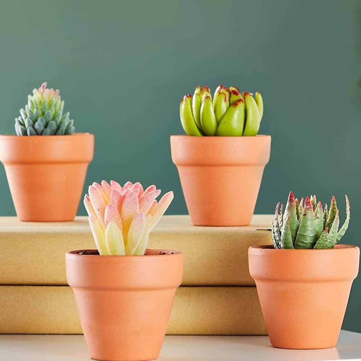 6-PK Mini Terracotta Pots for Succulents, Small 3.2" Clay Flower Pot Planters